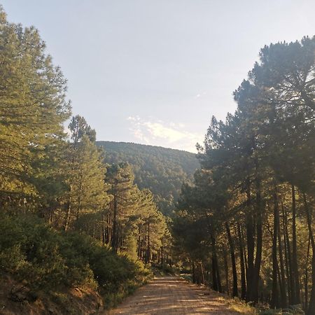 Willa Bonita Casa En El Bosque - El Tiemblo Zewnętrze zdjęcie