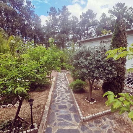 Willa Bonita Casa En El Bosque - El Tiemblo Zewnętrze zdjęcie
